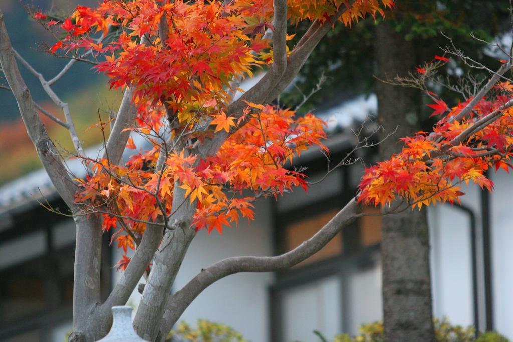 ホテル 猿ヶ京温泉　生寿苑 みなかみ町 エクステリア 写真